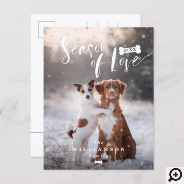 Season of Love | Stylish Script Pets Christmas Holiday Postcard