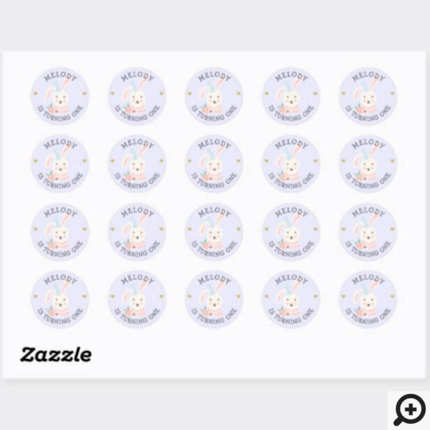 Cute Adorable Baby Rabbit Party Animal Classic Round Sticker