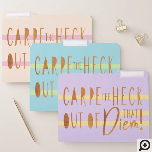 Carpe The Heck Out Of That Diem Bright Colourful File Folder