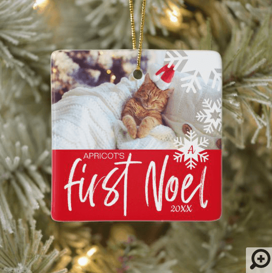 First Noel Festive Pet Photo Snowflake Ceramic Ornament