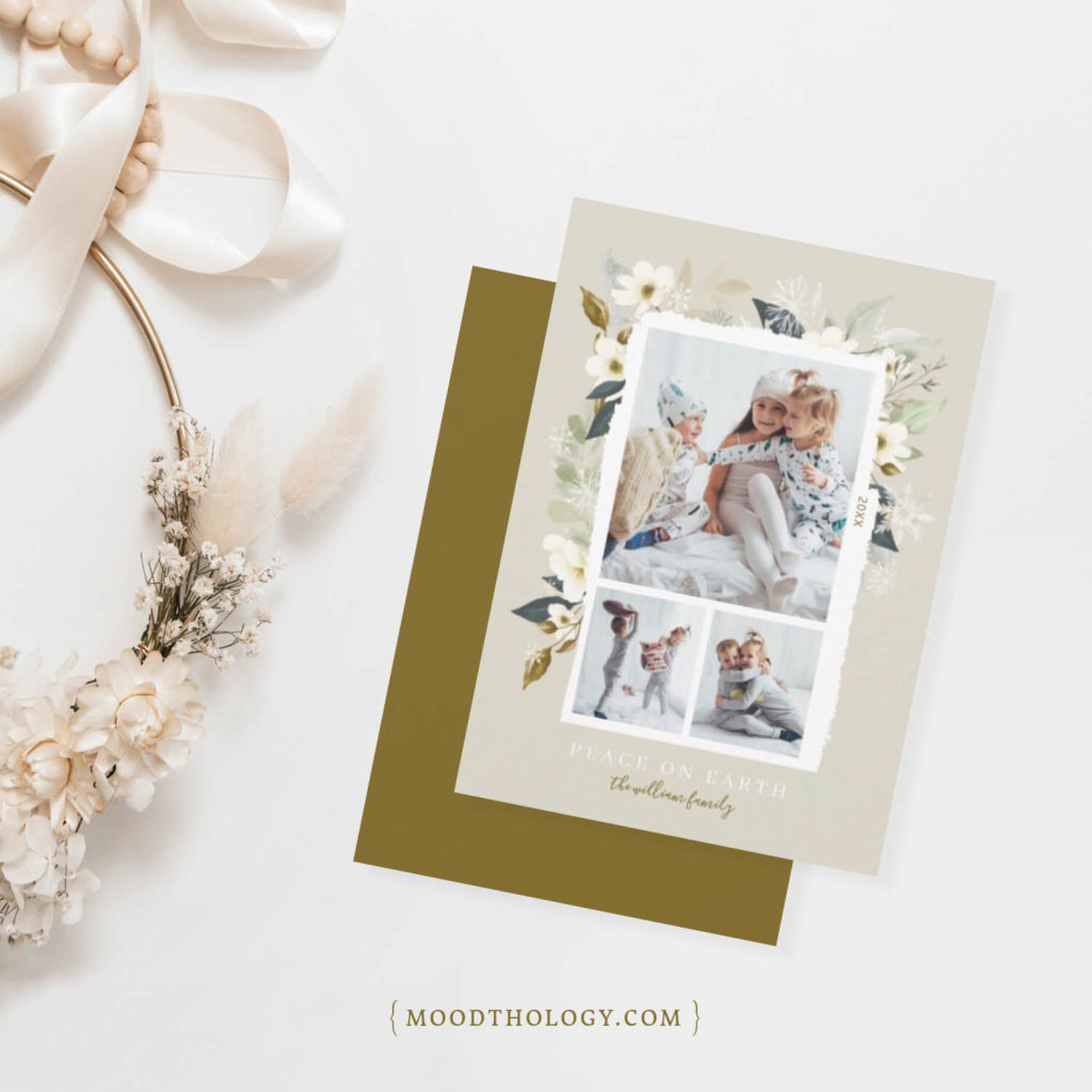 Frosty Winter Floral Botanical Holiday Collection By Moodthology Papery