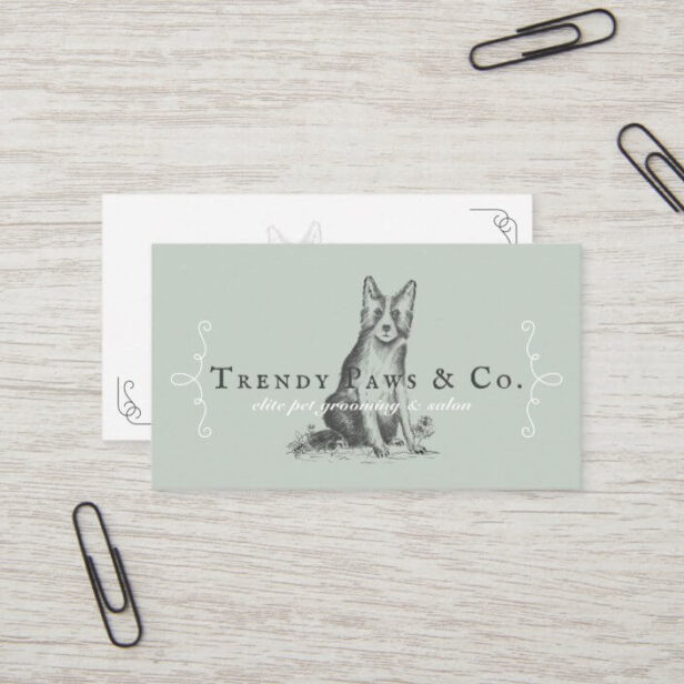Classy Boutique Style Pet Salon Border Collie Dog Business Card