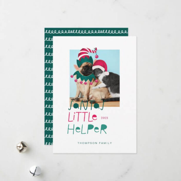 Fun Pet Christmas Santas Little Helper Elf & Santa Holiday Card