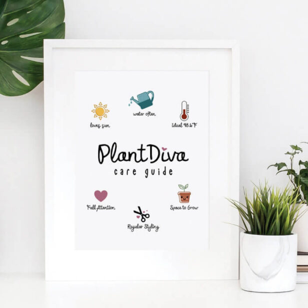 Funny Plant Diva Care Guide Plant Lovers Growing Poster