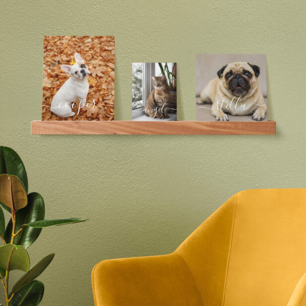 Minimal Personalized Pet Name Script Three Photo Picture Ledge