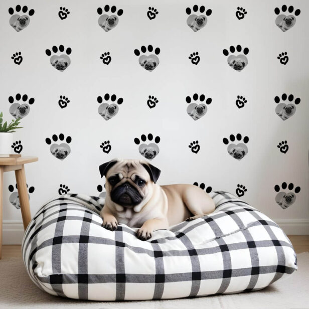 Cute Fun Black & White Heart Pet Photos Paw Print Wallpaper