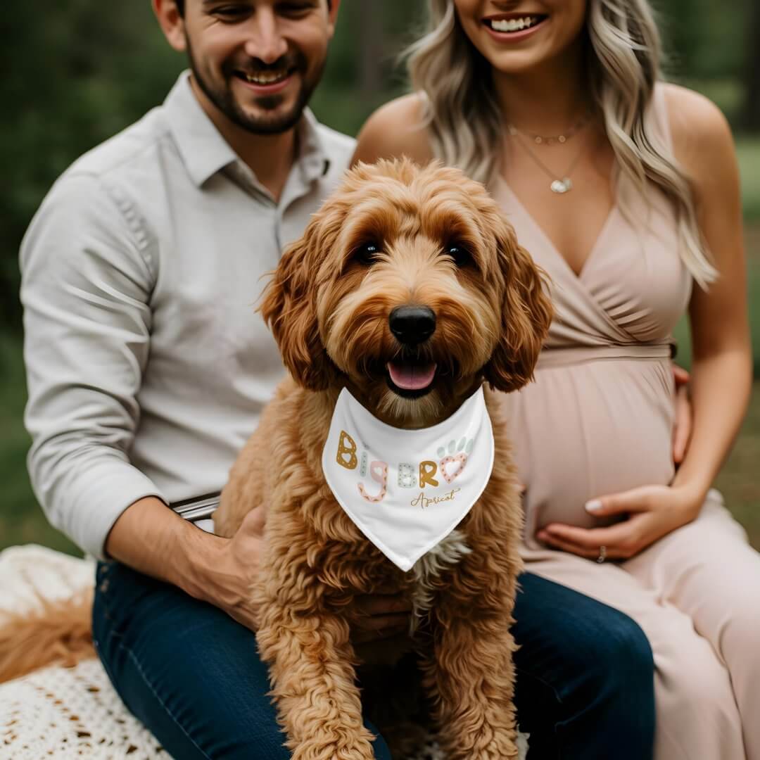Big Brother Heart Paw Print Fun Baby Announcement Pet Bandana Collar