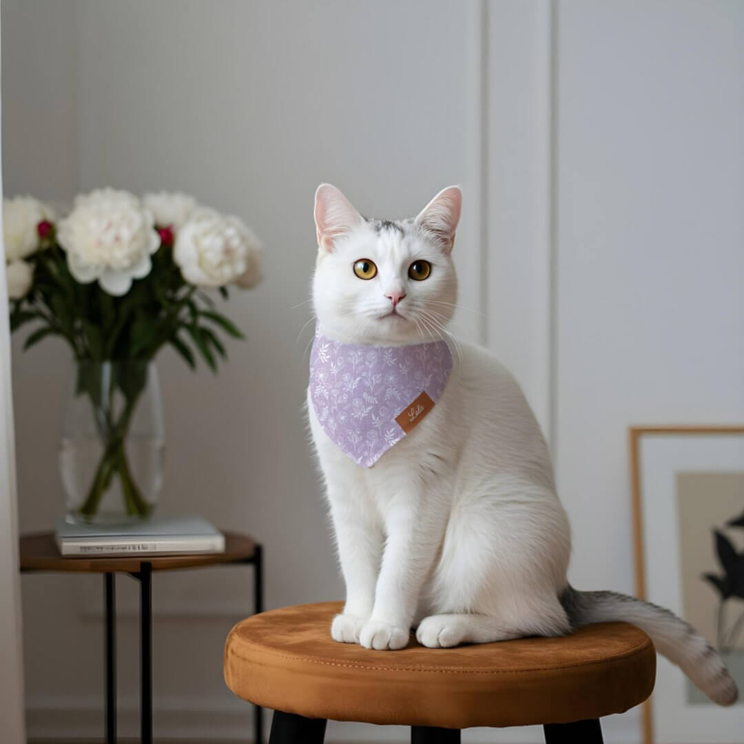 Boho Floral & Foliage Violet Purple Personalize Pet Bandana Collar