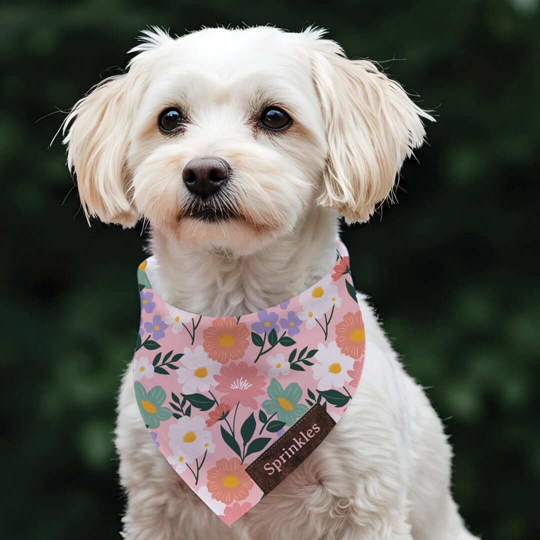 Botanical Floral Personalized Faux Leather Accent Pet Bandana Collar