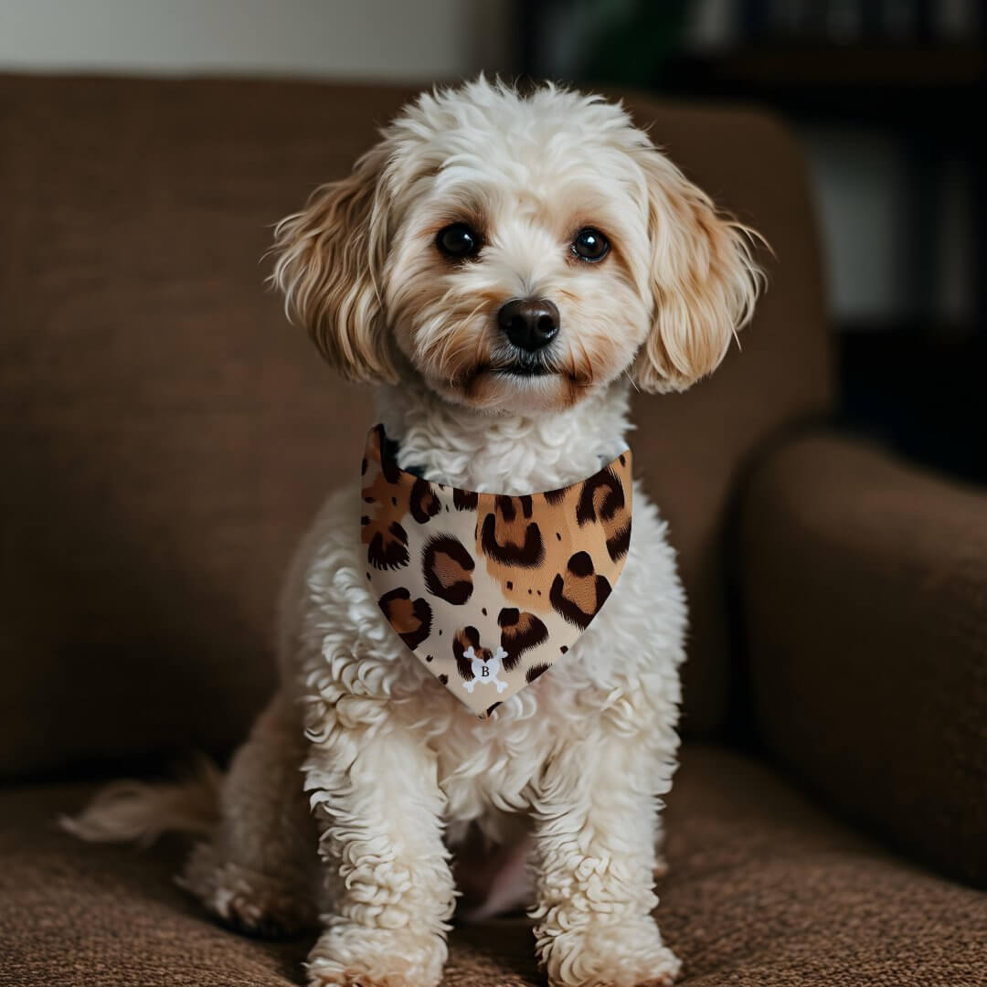 Brown Leopard Print Patten Cross Bone Monogam Pet Bandana Collar