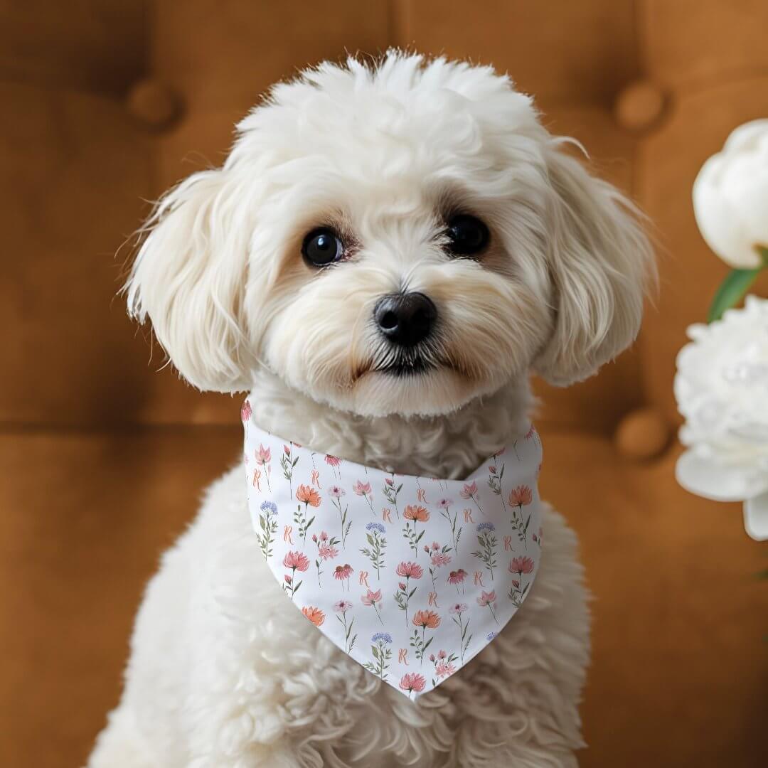 Elegant Boho Wildflower Floral Pattern Monogram Pet Bandana Collar