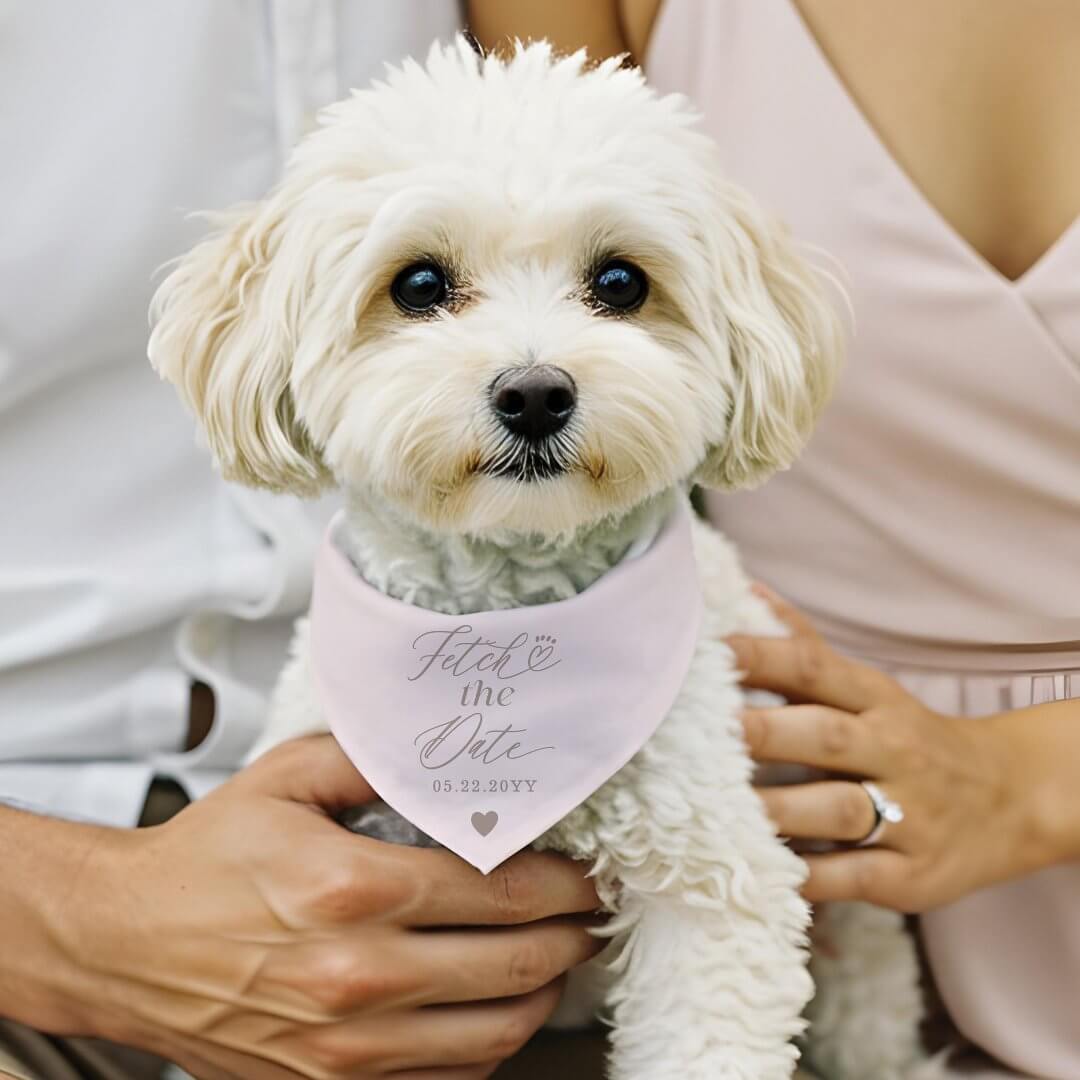Fetch the Date Heart Paw Cute Wedding Announcement Pet Bandana Collar