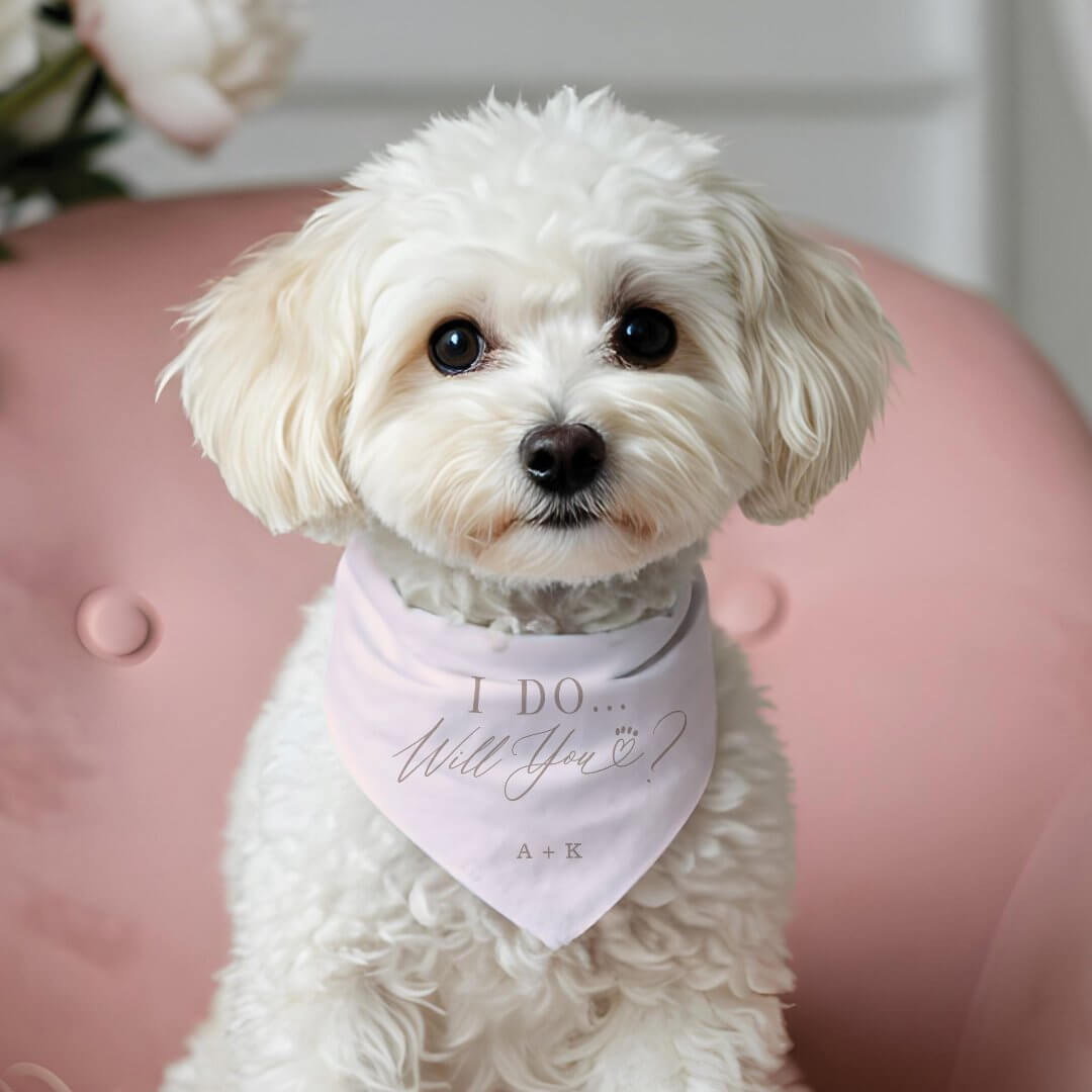 I Do Will You Heart Paw Merry Me Proposal Monogram Pet Bandana Collar