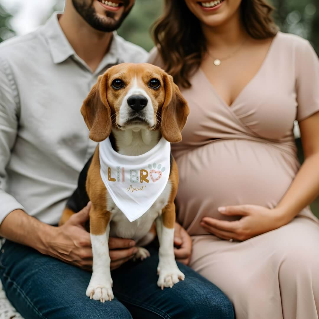 Little Brother Heart Paw Fun Baby Announcement Pet Bandana Collar