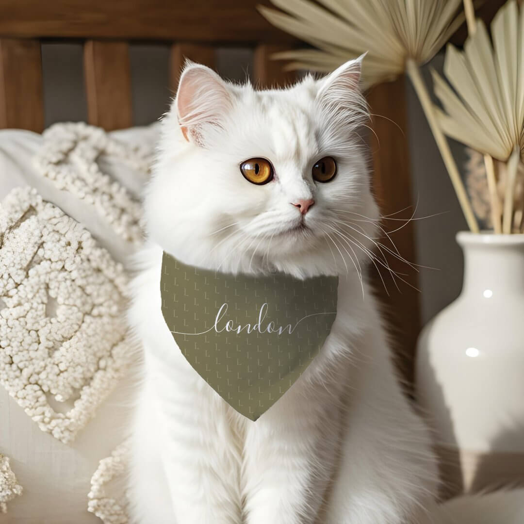 Minimal Elegant Script Pet Name Monogram Pattern Olive Green Pet Bandana Collar