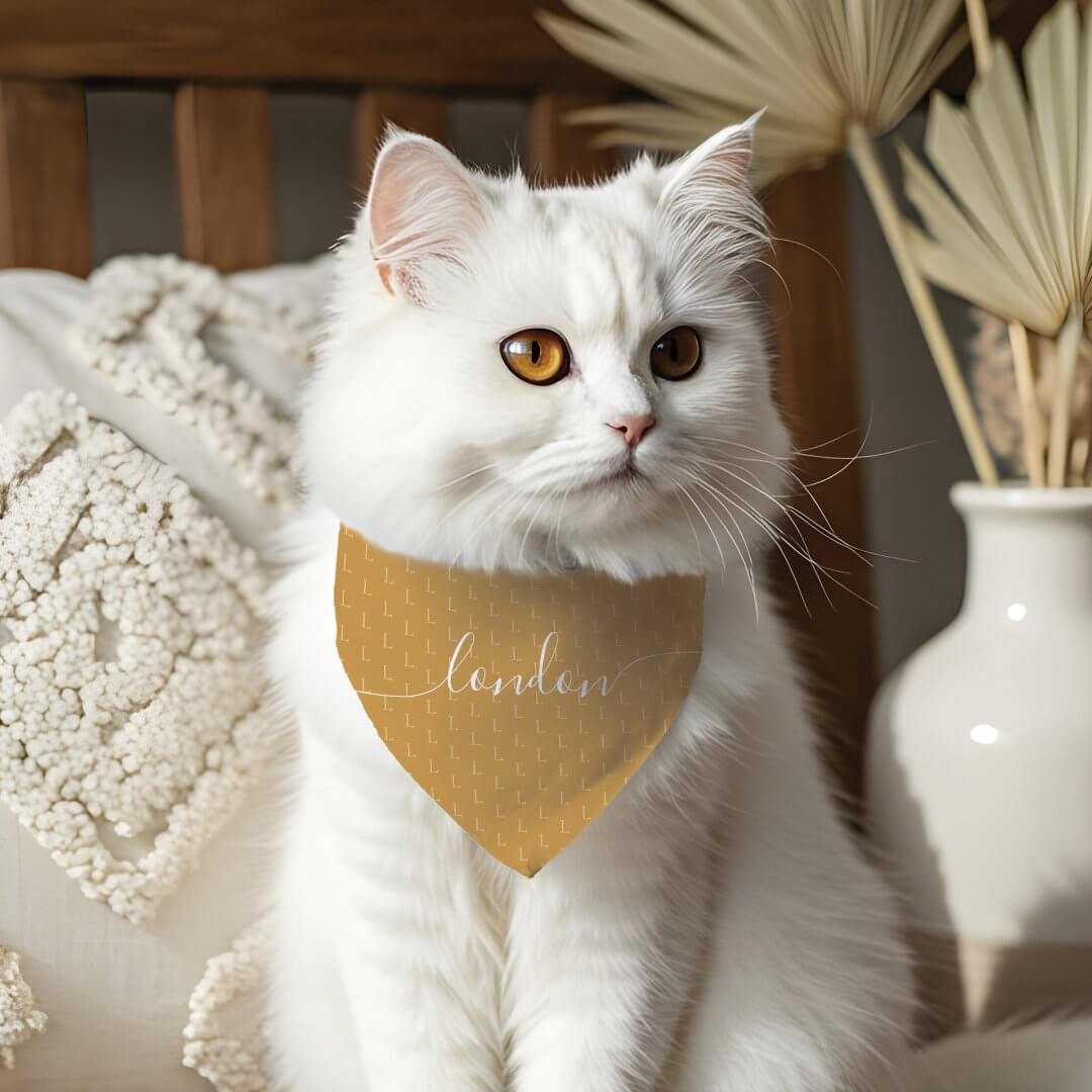 Minimal Elegant Script Pet Name Monogram Pattern Mustard Yellow Pet Bandana Collar