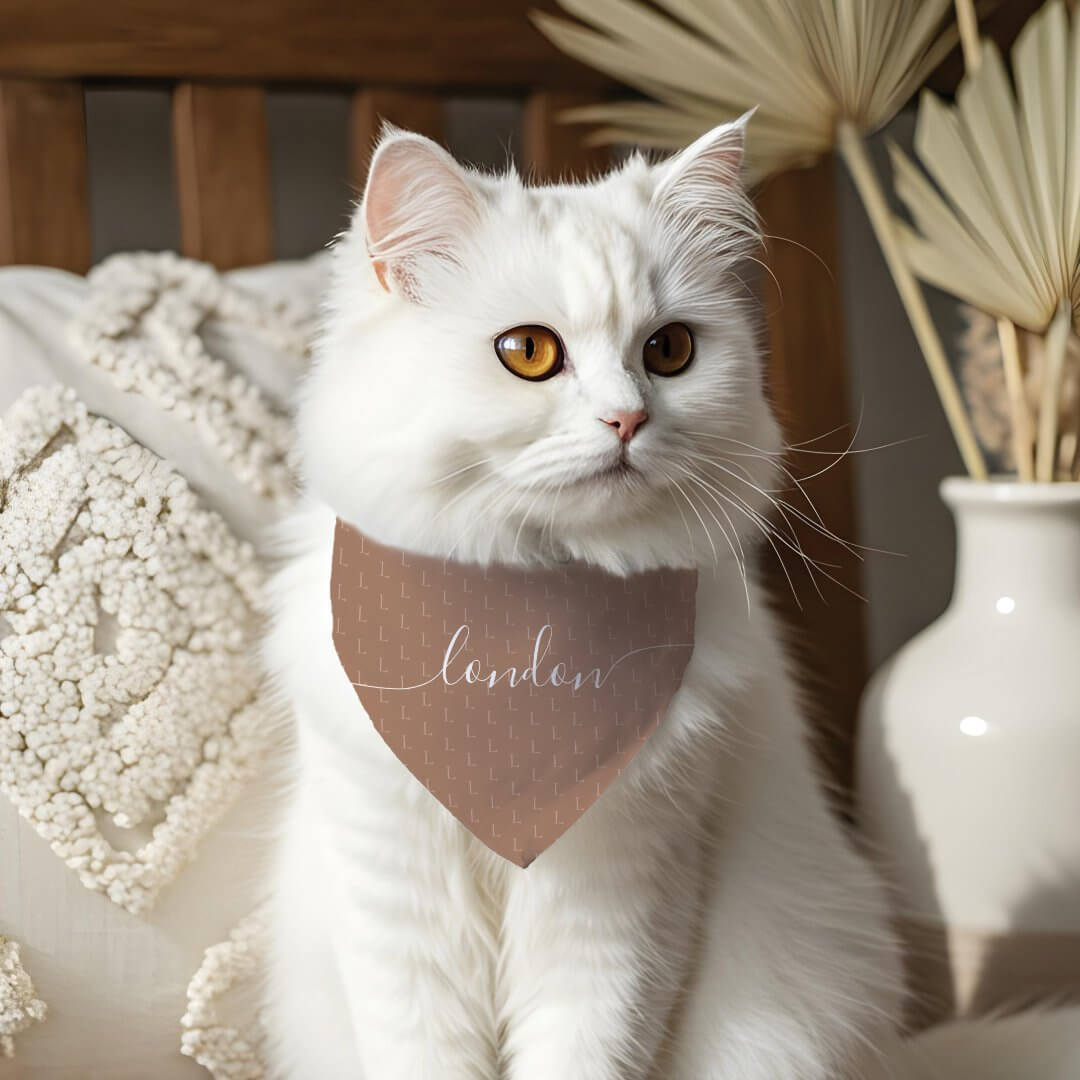 Minimal Elegant Script Pet Name Monogram Pattern Taupe Pink Pet Bandana Collar