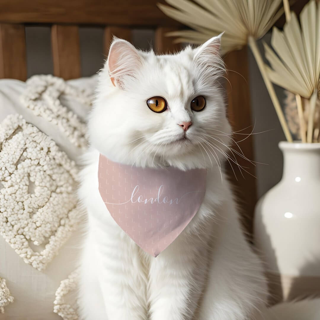 Minimal Elegant Script Pet Name Monogram Pattern Pink Pet Bandana Collar