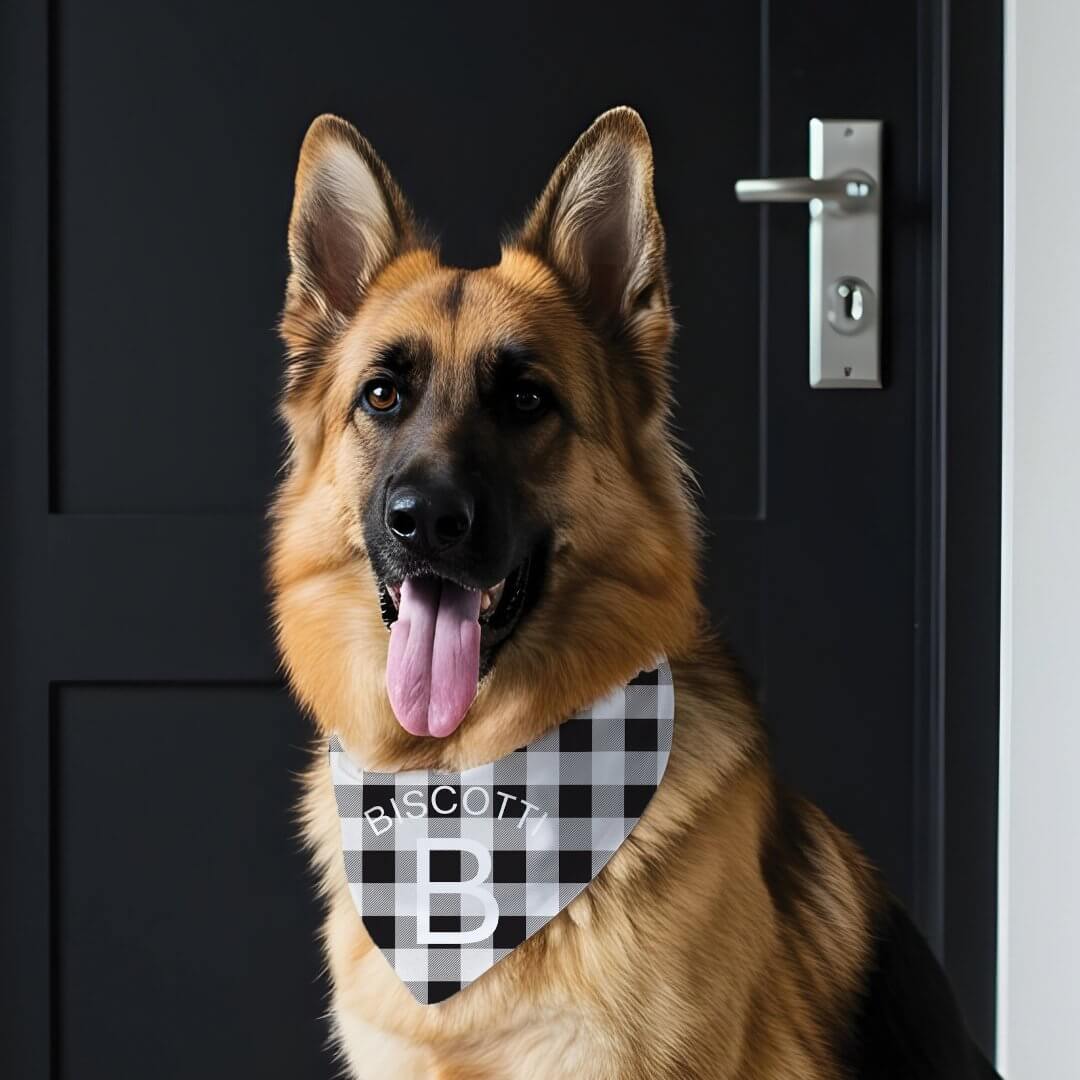 Personalized Black & White Plaid Pattern Monogram Pet Bandana Collar