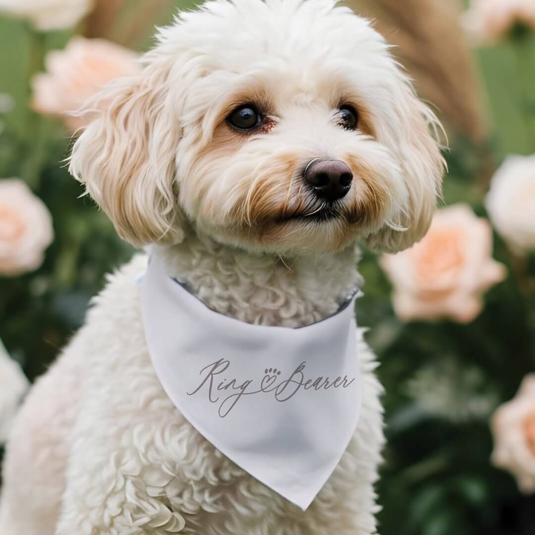 Ring Bearer Script Heart Paw Print Pet Wedding Pet Bandana Collar
