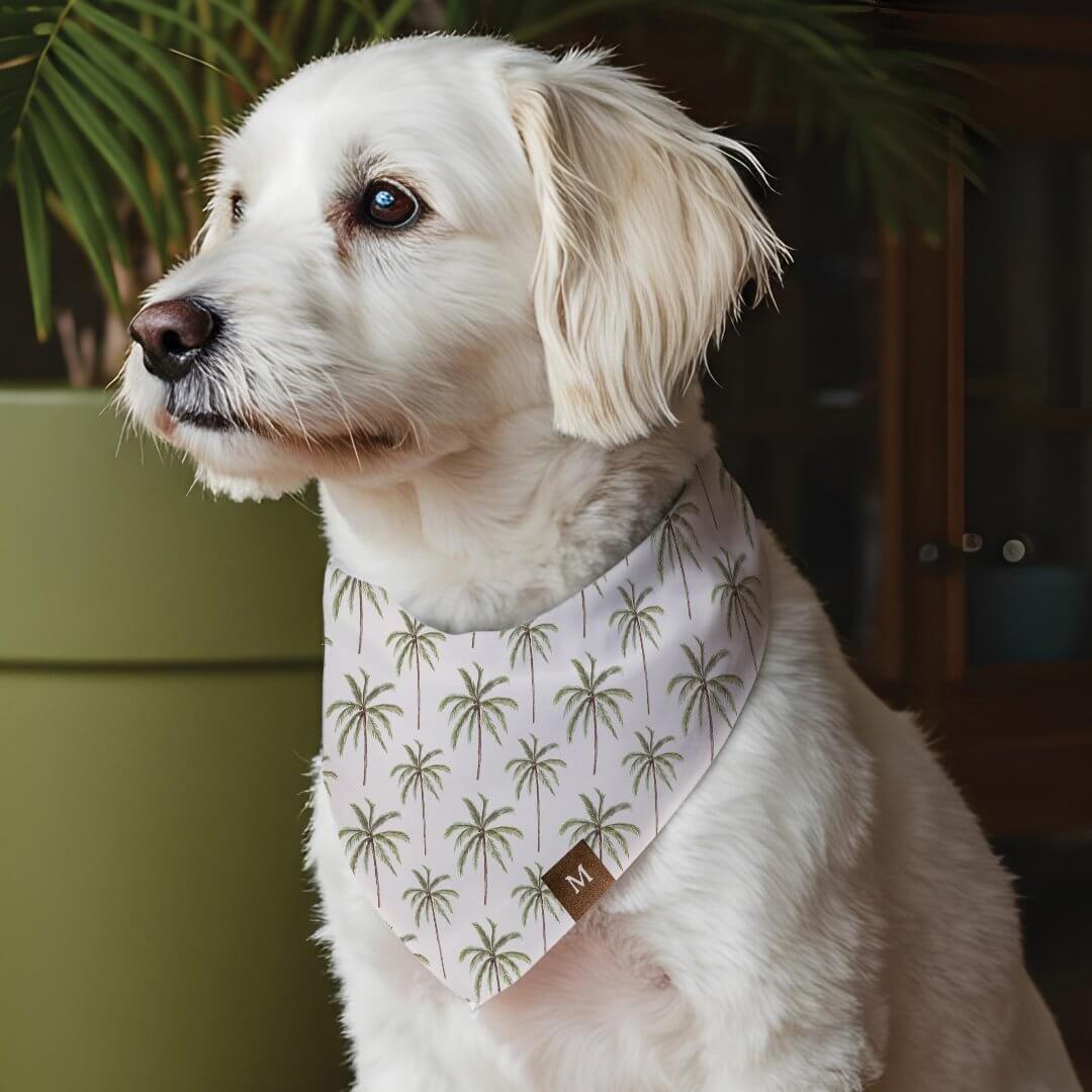 Tropical Watercolor Palm Tree Pattern Monogram Pet Bandana Collar