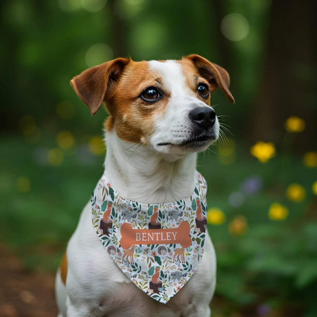 Woodland Animal Floral Pattern Orange Bone Name Pet Bandana Collar