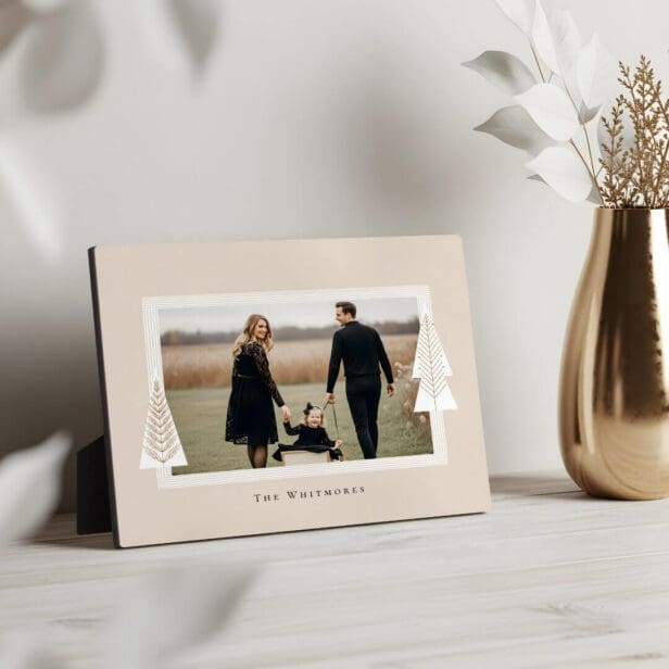 Modern Stripe Frame Evergreen Christmas Tree Photo Beige Plaque