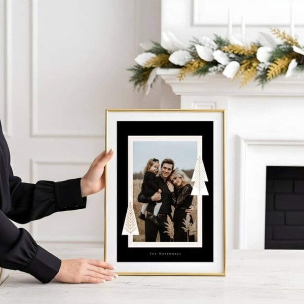 Modern Stripe Frame Evergreen Christmas Tree Photo Poster