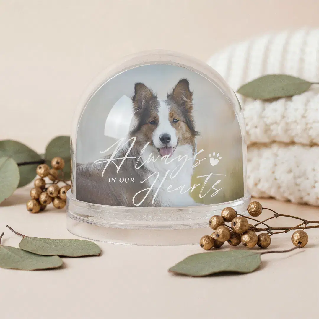 Always In Our Hearts Pet Photo Memorial Keepsake Snow Globe